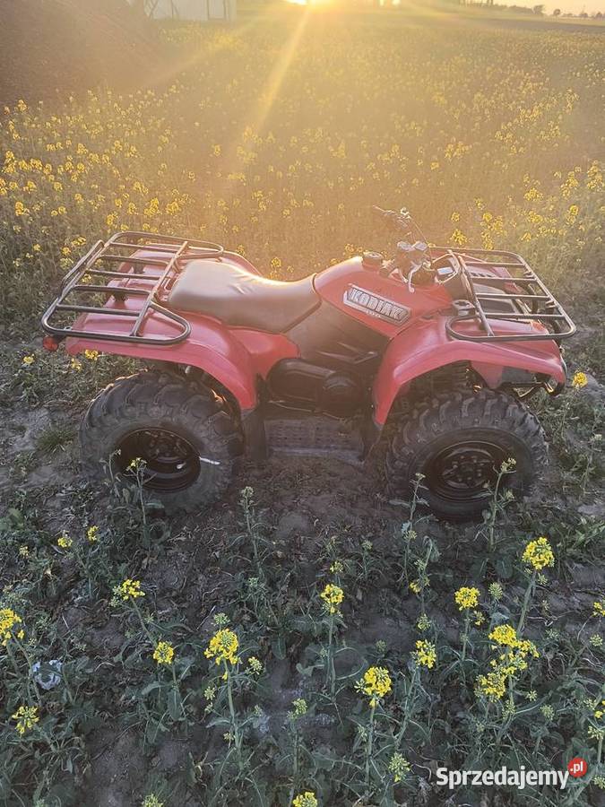 Yamaha kodiak 400 Lucynowo