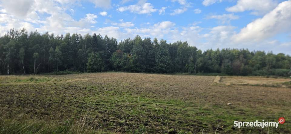 Sprzedam działkę w Kameli Kamela