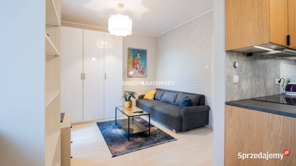 Ogłoszenie mieszkanie Kraków Juliusza Lea 2902m2