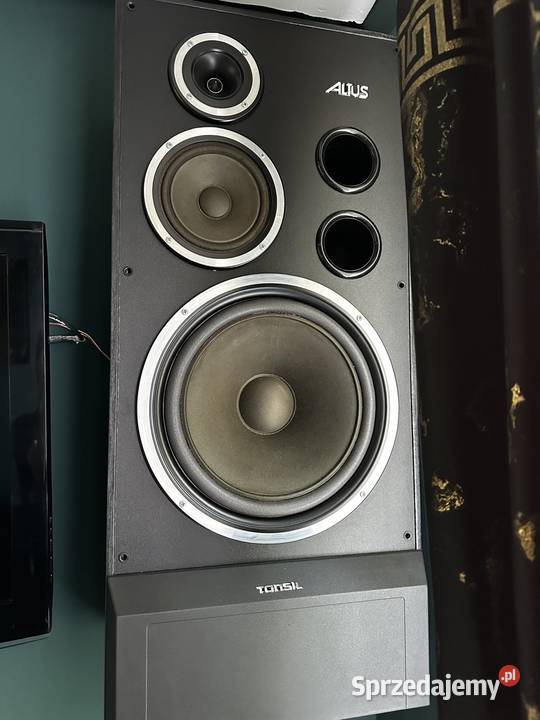 Tonsil Altus 300 Konin