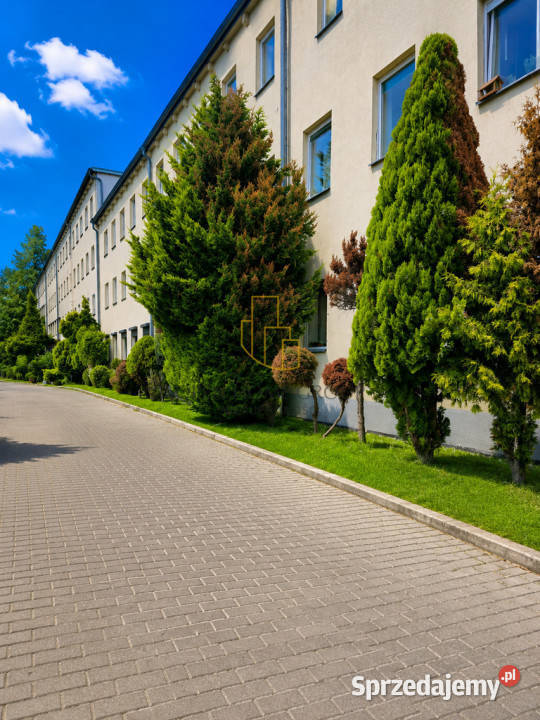 Centrum Lux 2 pok Media miejskie mparkingowe 7346zł/m2 Jelenia Góra