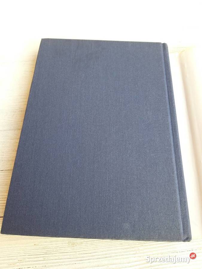 Kochanie Danielle Steel Ewa Mogilska KSIĄŻNICA Antyki, Sztuka, Kolekcje śląskie