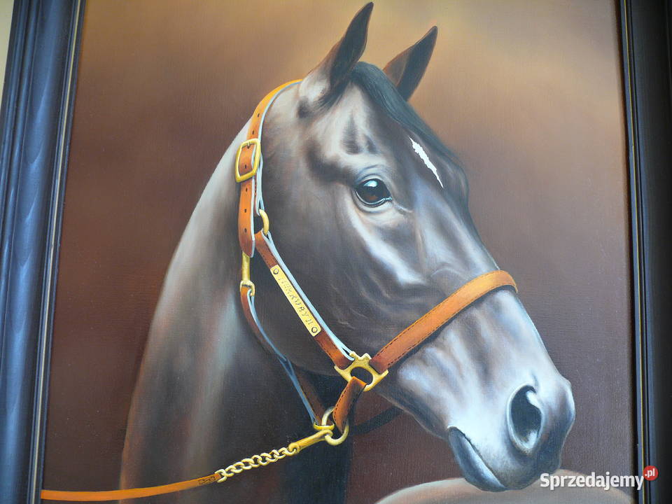 Portret konia A Tyszkiewicz Warszawa