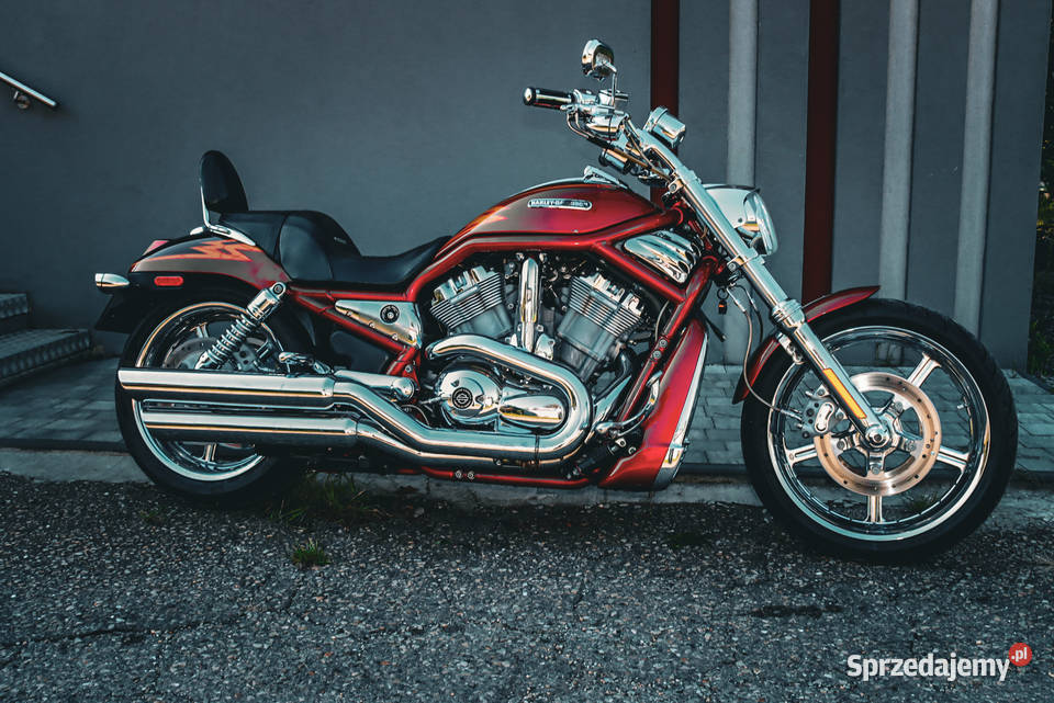 HARLEJ DAVIDSON VROD VRSCSE