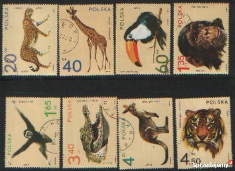 Zn Fi 2015 22 kas 1972 Gliwice