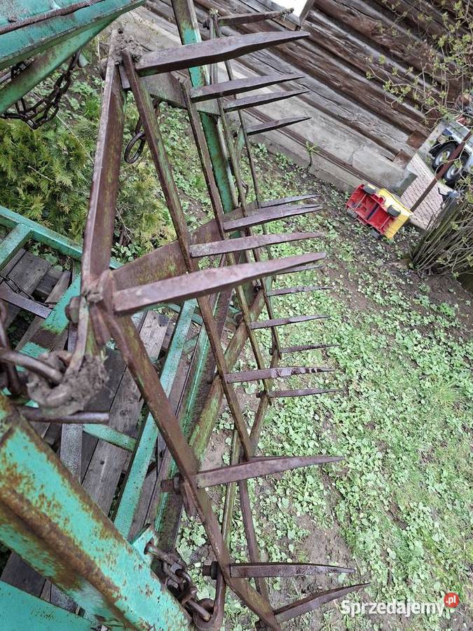 Brony 3ki Grudziądzkie średnie Jasło