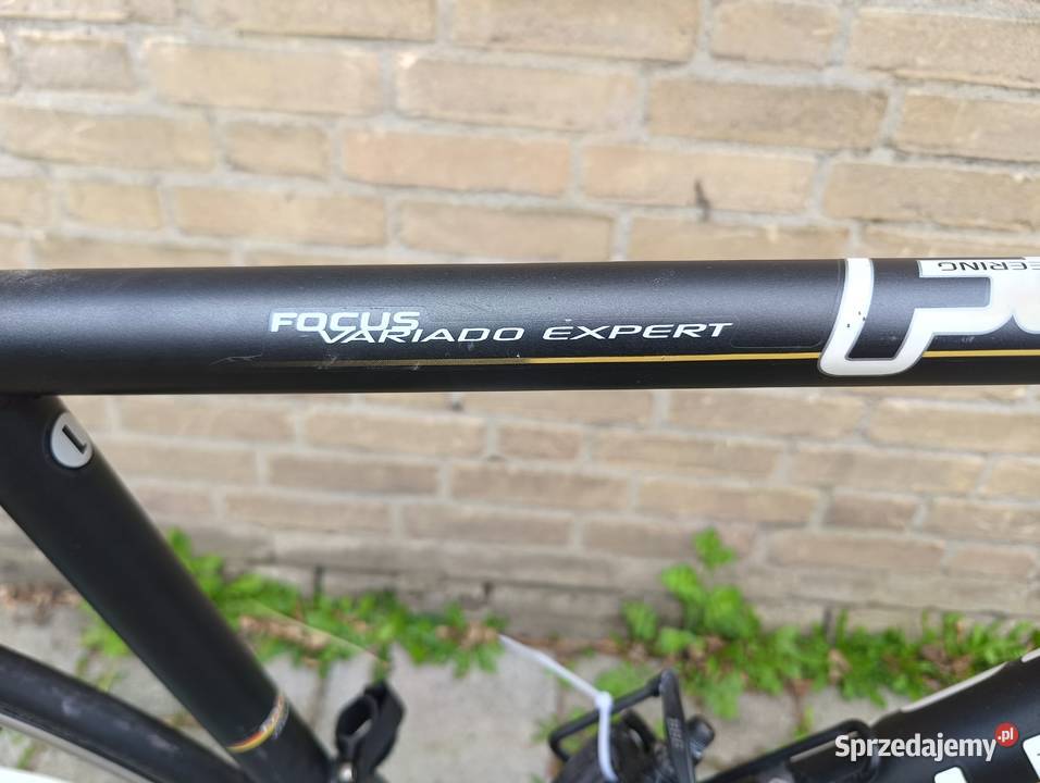 Focus Variado Expert rower szosowy aluminiowy z Szosowe Szosowe Jastrzębie-Zdrój