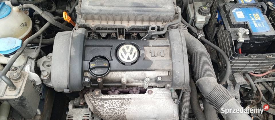 Silnik VW Golf V1480 osobowe Szamotuły