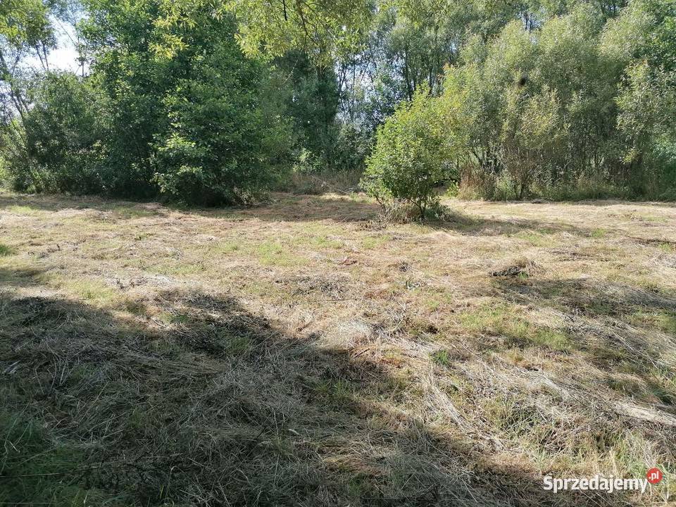 Działka rolna łąka 3800 mkw 3800m2 Koziołki sprzedam
