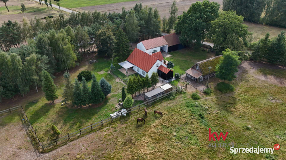 Lokal 550m2 Czarnybród sprzedam