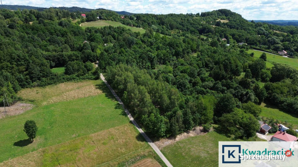Działka Odrzykoń 1677m2 podkarpackie