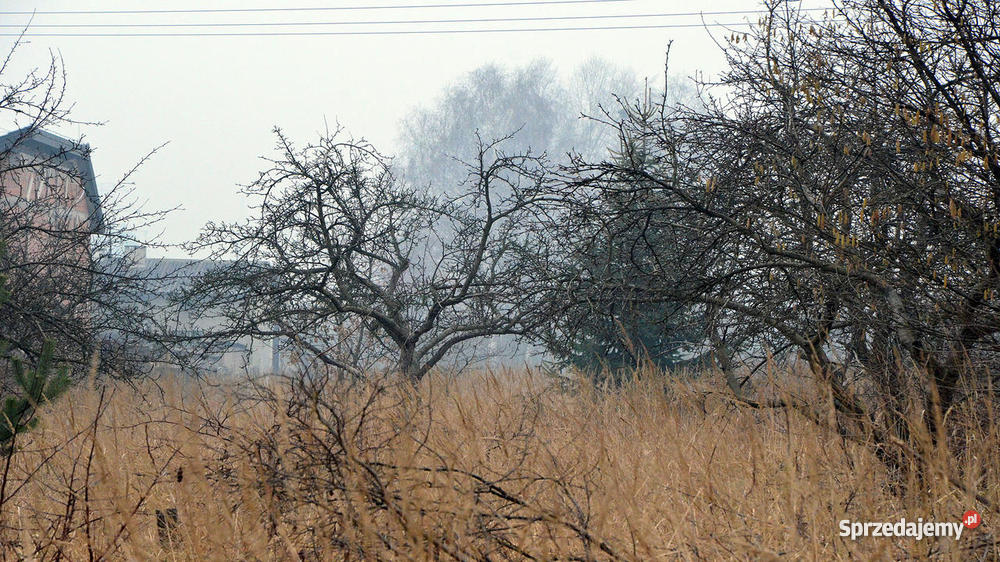 dom sosnowiec zawodzie 2560m2 śląskie Sosnowiec