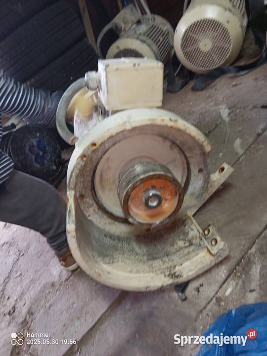 Silnik elektryczny 13 17 kw świętokrzyskie Brody