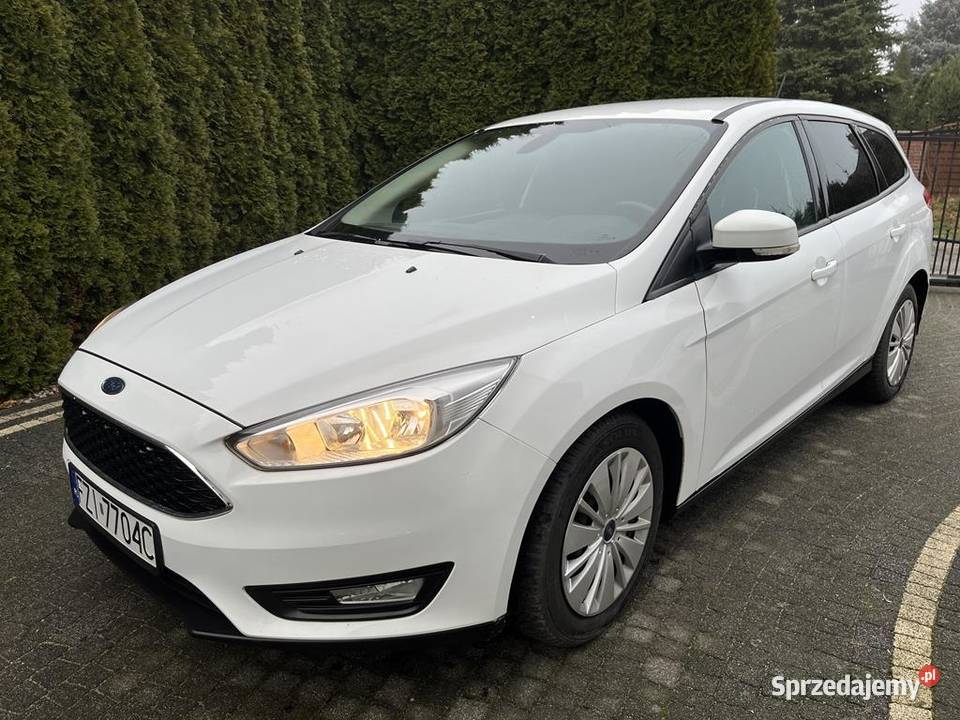 Ford Focus Super Stan wersja Business Serwis ASO Focus Sulechów