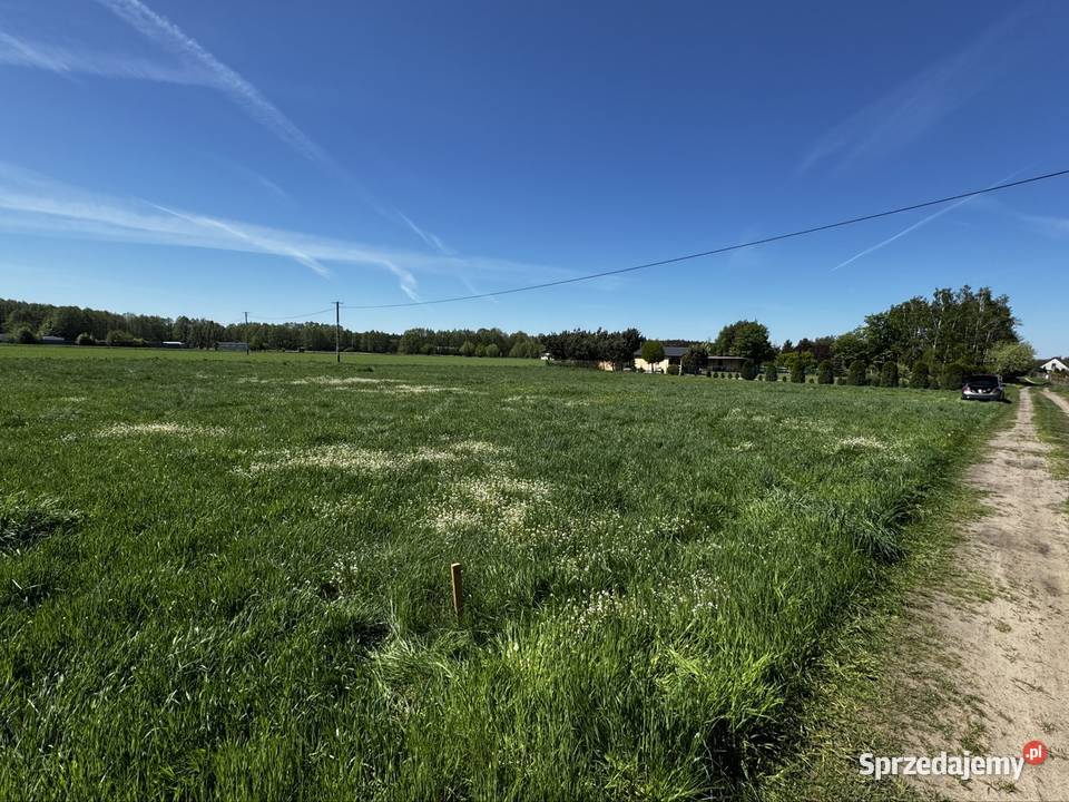 Działka budowlana 2500m Wilków Poddębicy