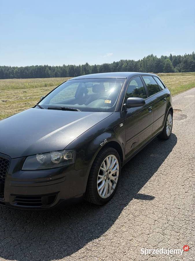 Audi a3 8p sportback 16LPG śląskie Częstochowa