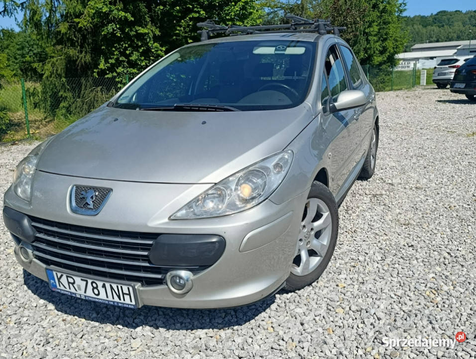 Peugeot 307 Krajowy benzyna 16 klimatyzacja II 170000km małopolskie Dulowa