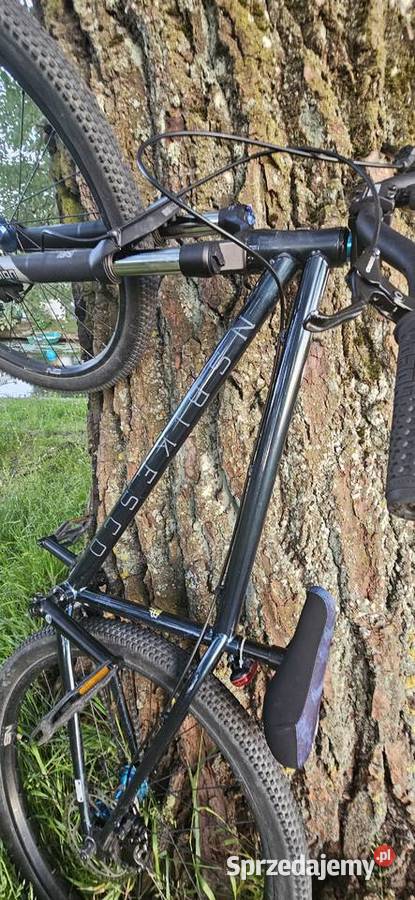 Ns Bikes metropolis2 2024 Dirt Ełk