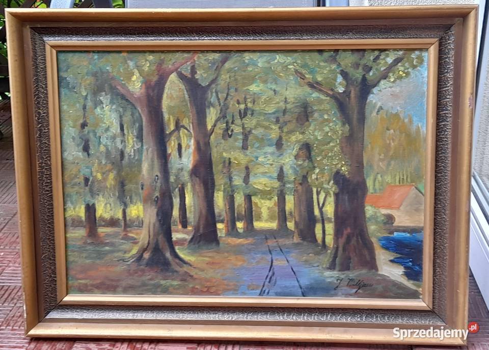 Tajemniczy las obraz olejny sygnowany piękna Iłża