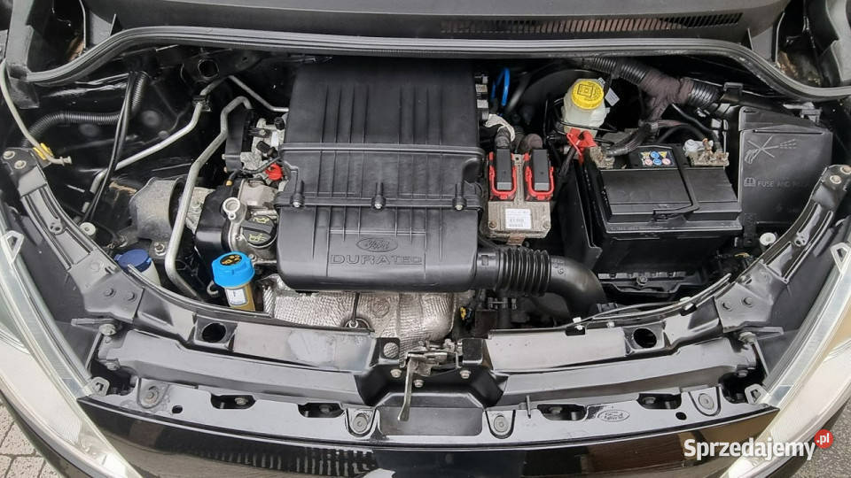 Ford KA 125 69 Prosty Silnik Klima GWARANCJA 2/3 Płońsk