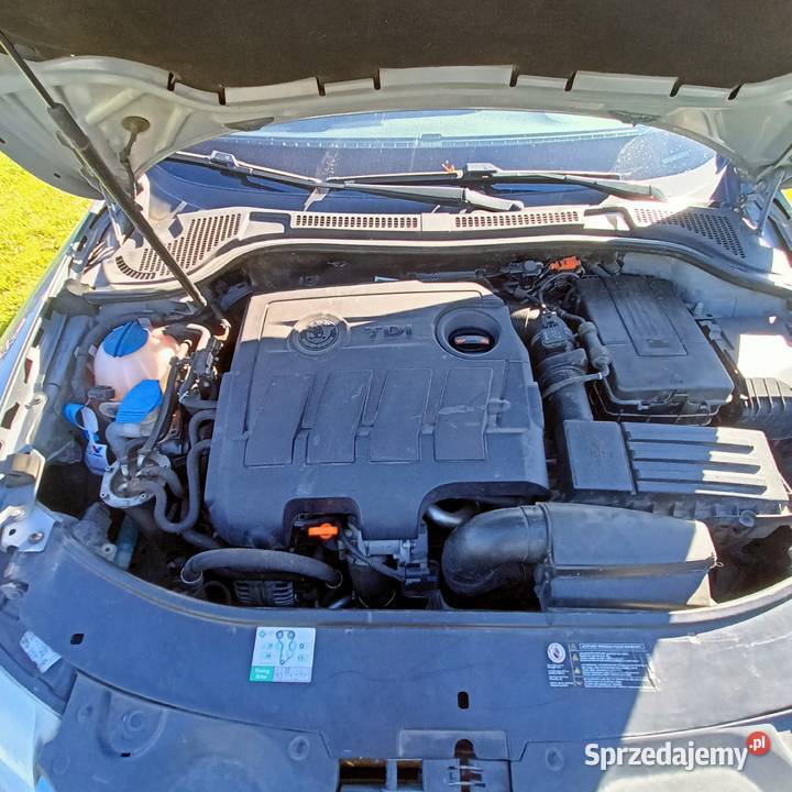 Bez dwumasu stan Sielec