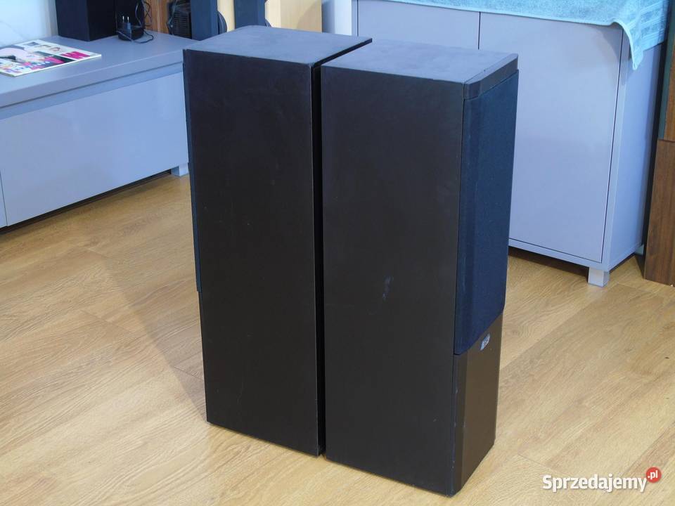 Świetne kolumny stereo ASW Sonus DC 100 sprawne Jasło