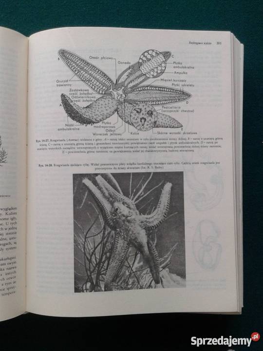 BIOLOGIA Claude AVillee Leszno