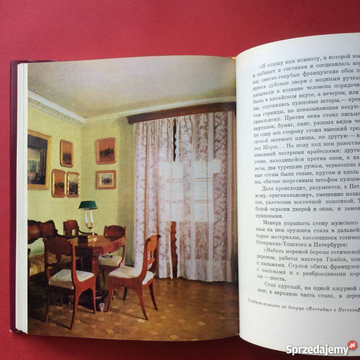 Oczami współczesnych Szczecin