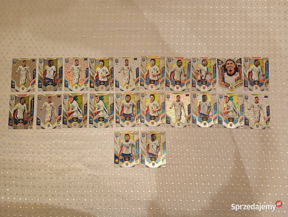 Karty piłkarskie kolekcjonerskie Panini FIFA 365 Pozostałe Puszczykowo