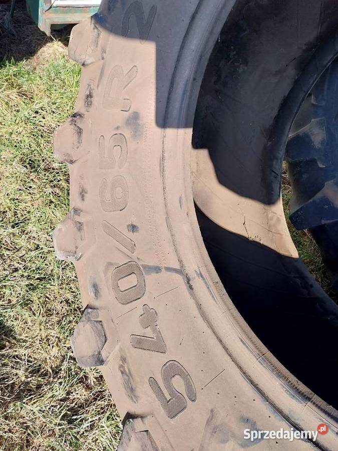 opona Pirelli TM800 54065R28 Borek