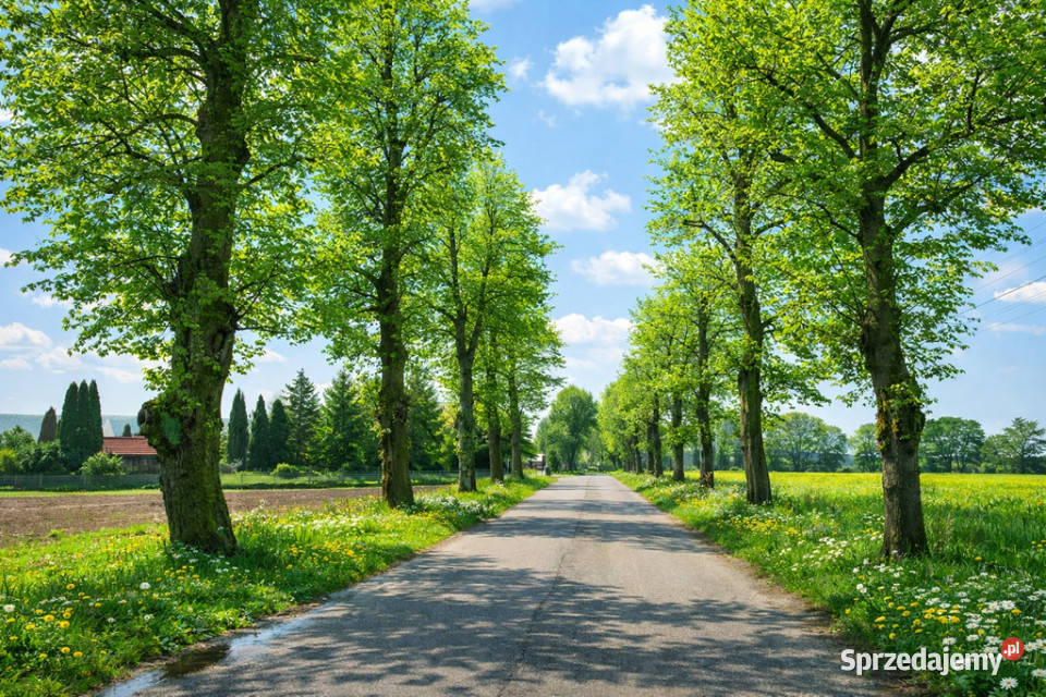 Działka budowlana Przęsocin Szczecin