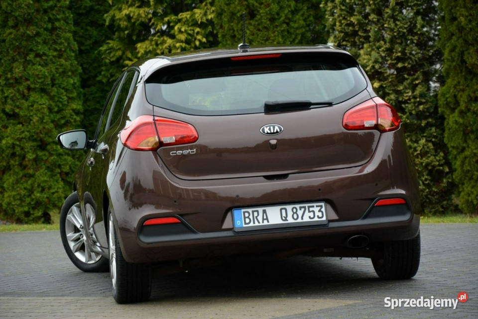 Kia Ceed Platinum Lift Navi Ledy Kamera mazowieckie Ostrów Mazowiecka