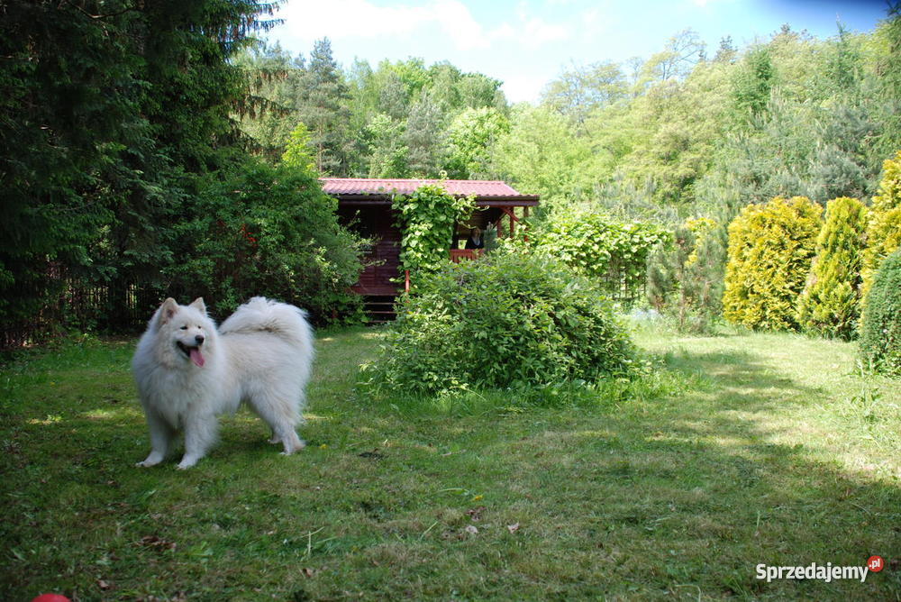 działka Serock 2040m2 z widokiem na Zalew Zegrz Serock