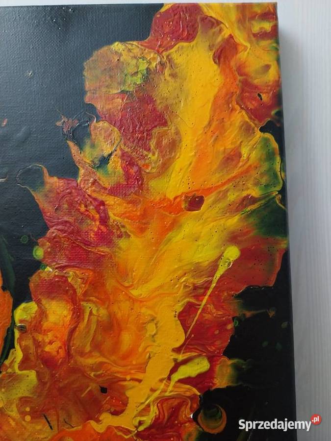 Żółty Ptak z Ulicy Sezamkowej obraz pouring mazowieckie Ciechanów sprzedam