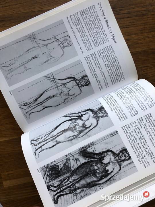 Practical Art School Twelve Lessons in Drawing Szramowo sprzedam