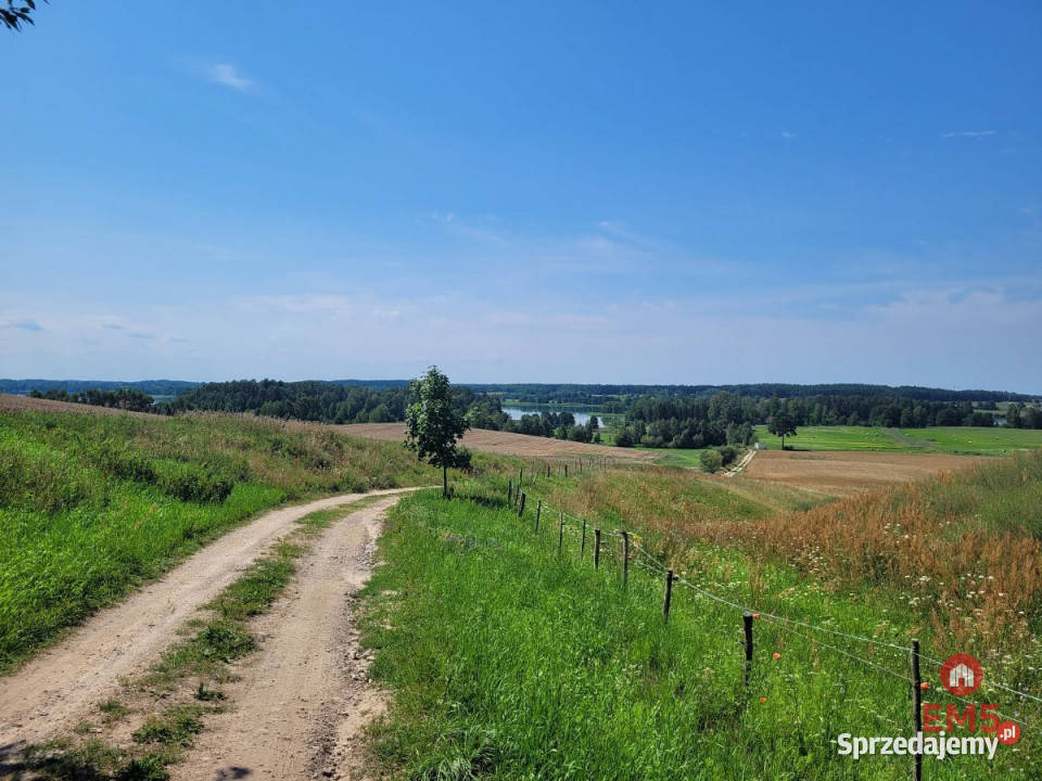 sprzedaży działki Dobra Wola 3669m2 sprzedam