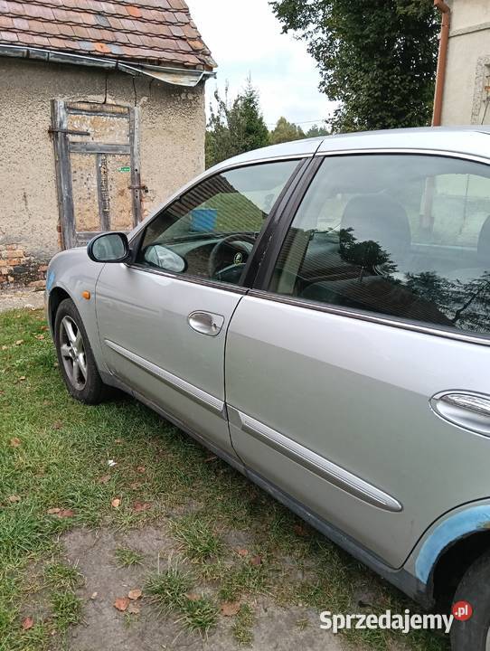 Nissan Maxima Węgliniec sprzedam