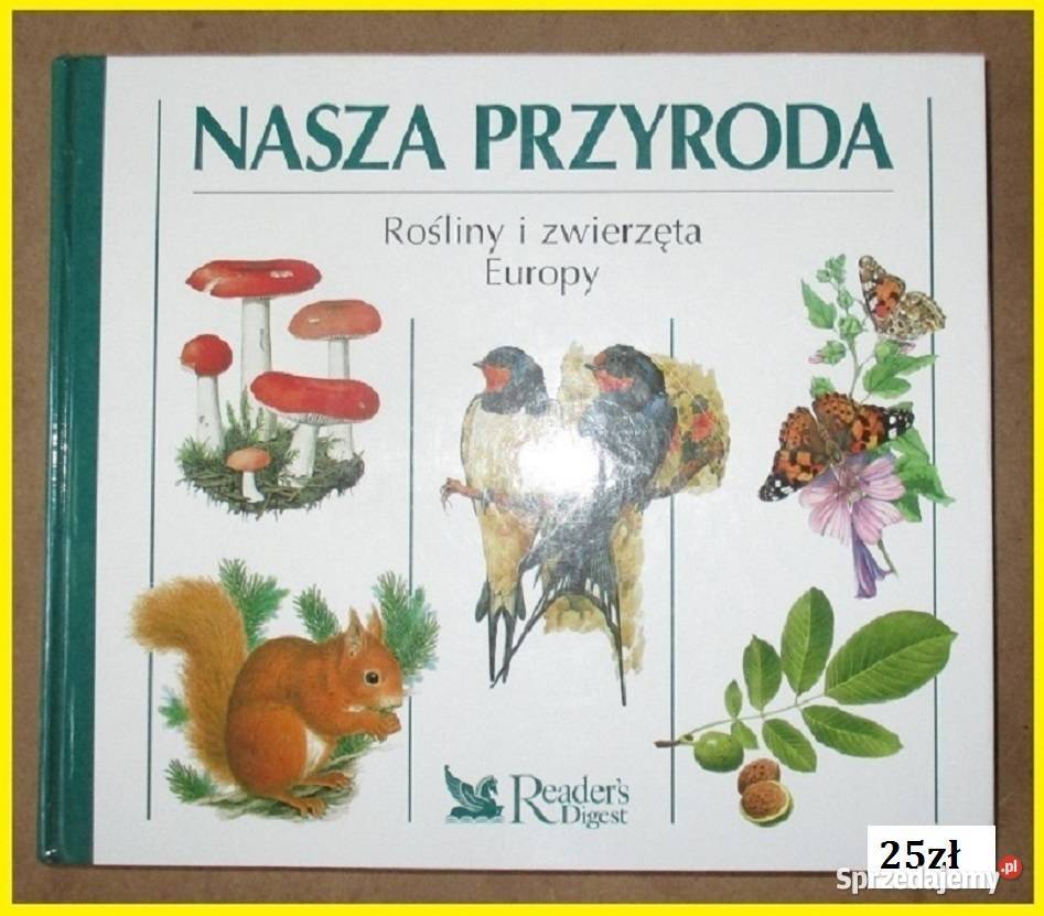 Kwiaty w mieszkaniu Schubert ogród kwiaty Książki i Podręczniki Łódź