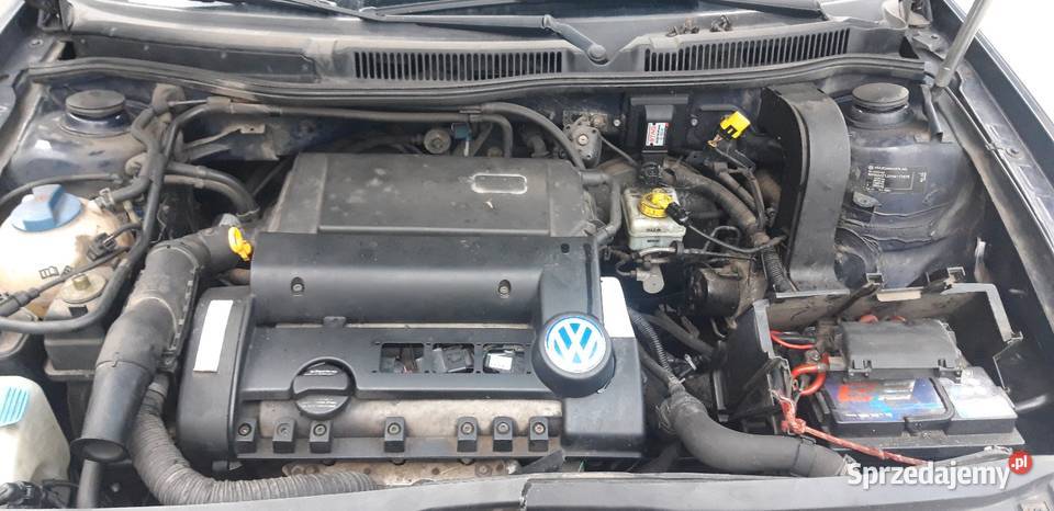 Golf 4 14 16v 02r Wszystkie części kujawsko-pomorskie
