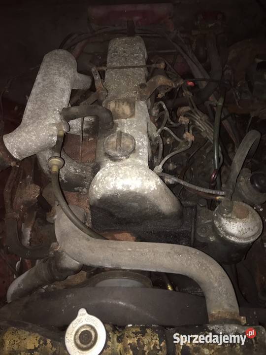 Mercedes W115 240D 30 Rzadkosc Okazja Oldtimer zachodniopomorskie Pobierowo