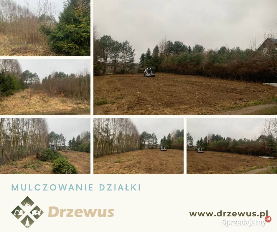Mulczowanie nieużytków wycinka drzew i krzewów Gdańsk