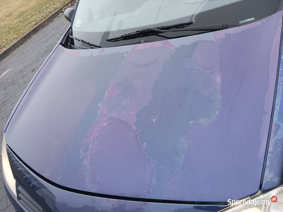 Renault megane Megane Rząśnia