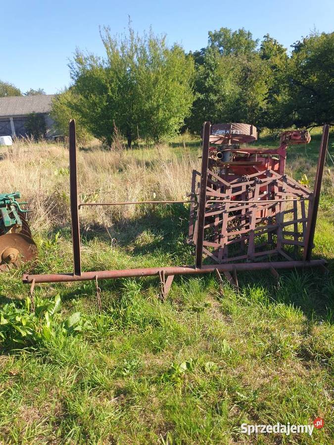 Brony polne 3 Korytnica