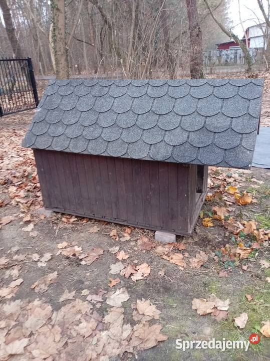 Buda psa mazowieckie Warszawa