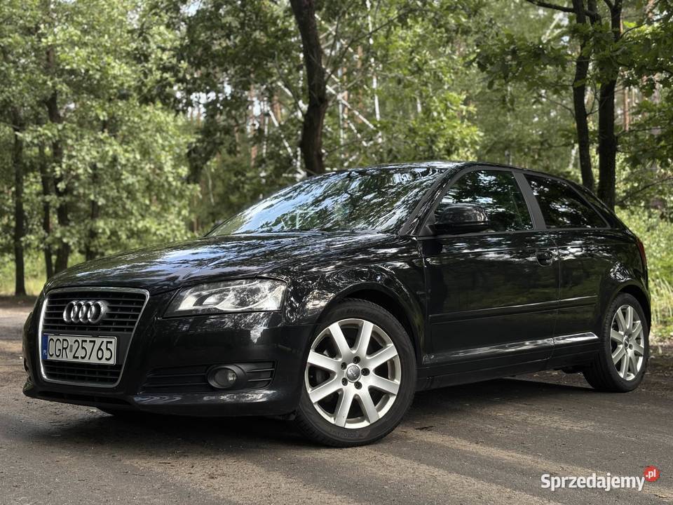 Audi A3 8P 14T 2010R manualna Grudziądz