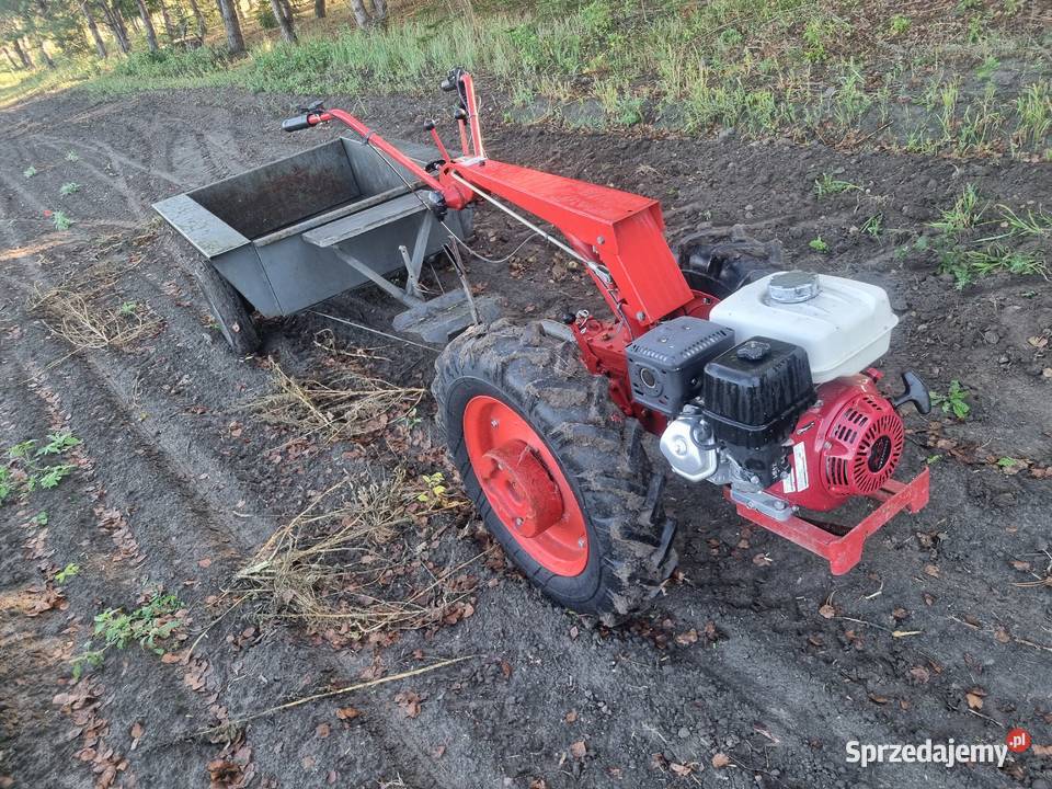 Dzik białorus 09H honda GTX270 nieuszkodzony