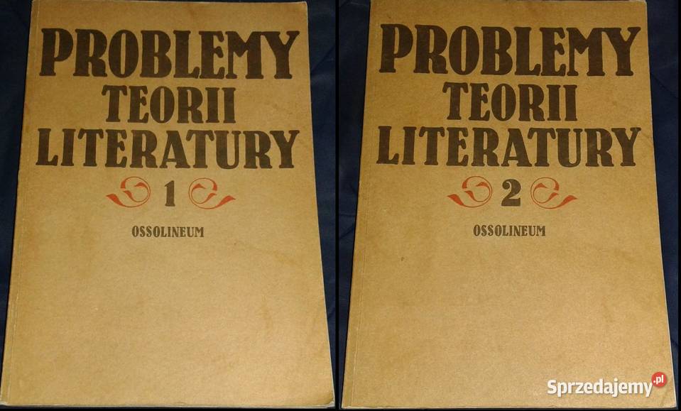 Problemy teorii literatury Roman W Ingarden miękka
