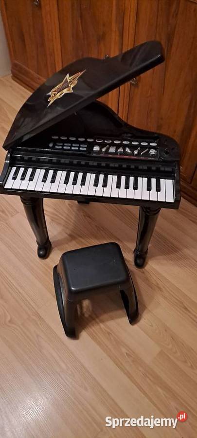 Smily Play Fortepian zabawka muzyczna Łęczyca sprzedam