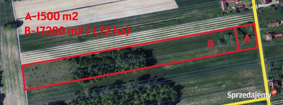 Działka budowlana 15 ar Kozioł g Baranów sprzedam