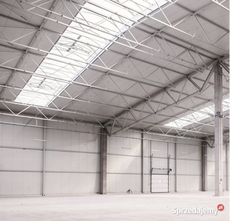 Hala magazynowa Pobiedziska 3650 m2 BIUROWIEC 3650m2 Nieruchomości wielkopolskie
